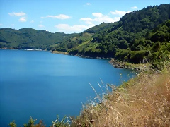DSCN4139 DSCN4139