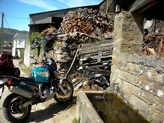 DSCN5033 DSCN5033