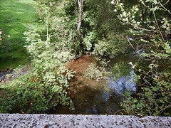 DSCN9655 DSCN9655