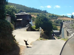 DSCN4738 DSCN4738