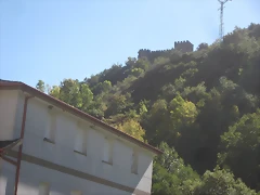 IMG_0787 IMG_0787