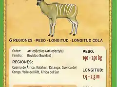 gran kudu