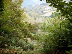 DSCN9560 DSCN9560