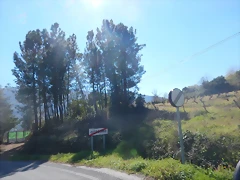 DSCN2663 DSCN2663