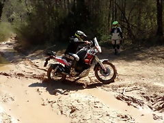 IMG_20210408_130923 IMG_20210408_130923