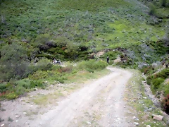 DSCN3977 DSCN3977