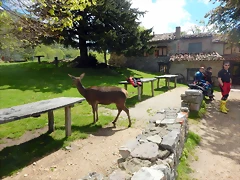 DSCN0617 DSCN0617