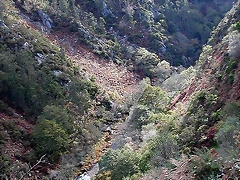 DSCN9201 DSCN9201