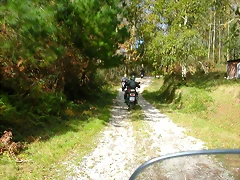 DSCN9199 DSCN9199