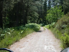 DSCN2130 DSCN2130