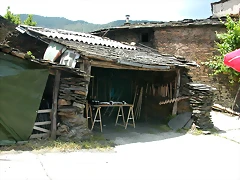 DSCN2181 DSCN2181