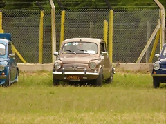 P1050966 P1050966