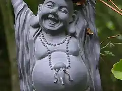 Buda feliz