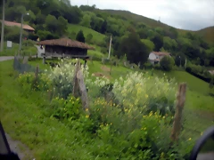 DSCN4537 DSCN4537