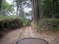 IMG_0404 IMG_0404