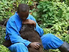 Hombre negro con orangutan