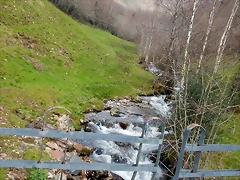 DSCN9176.JPEG DSCN9176.JPEG
