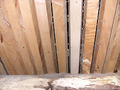 DSCN2119 DSCN2119