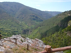 DSCN2135 DSCN2135