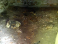 DSCN2117 DSCN2117