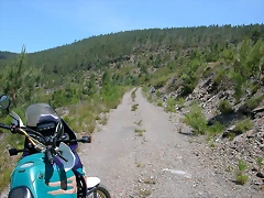 DSCN2125 DSCN2125