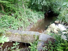 DSCN4543 DSCN4543