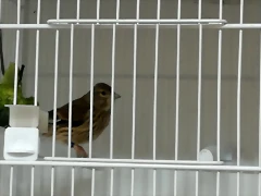 IMG_20180211_120031