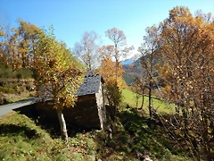 DSCN9133 DSCN9133