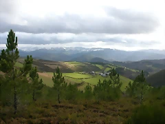 DSCN7159 DSCN7159