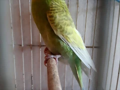 20201121_131251[1]