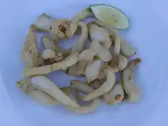 Calamares fritos