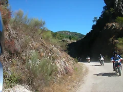 Sena 099