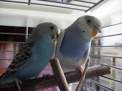 Foto5 Foto5