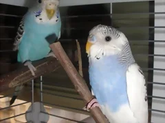 Foto2