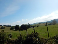 DSCN0524 DSCN0524