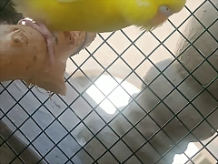 IMG20241205125026