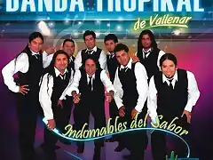 Banda Tropikal de Vallenar - Indomables Del Sabor
