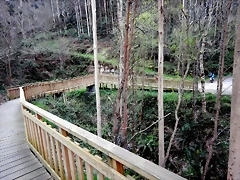 DSCN9678 DSCN9678