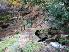 DSCN1910 DSCN1910