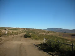DSCN2273 DSCN2273