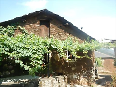 DSCN8976 DSCN8976