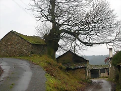 DSCN5603 DSCN5603