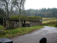 DSCN5599 DSCN5599