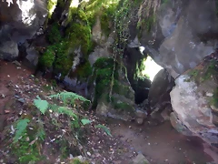 DSCN4223