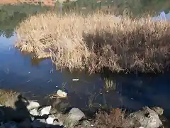 Aguas contaminadas en M. de RT.-09.02.10