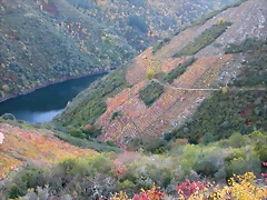 DSCN6568