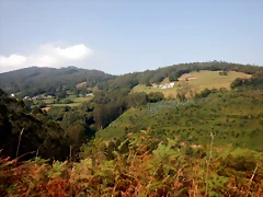 DSCN0931 DSCN0931