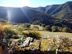 DSCN0061 DSCN0061