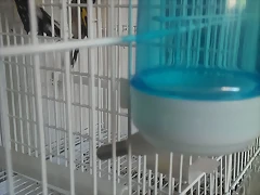 IMAG1729