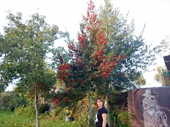 DSCN0289